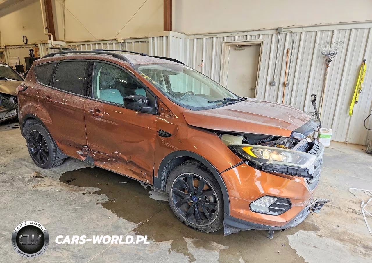 2017 Ford Escape Se VIN:1FMCU9G99HUE68058 - 4