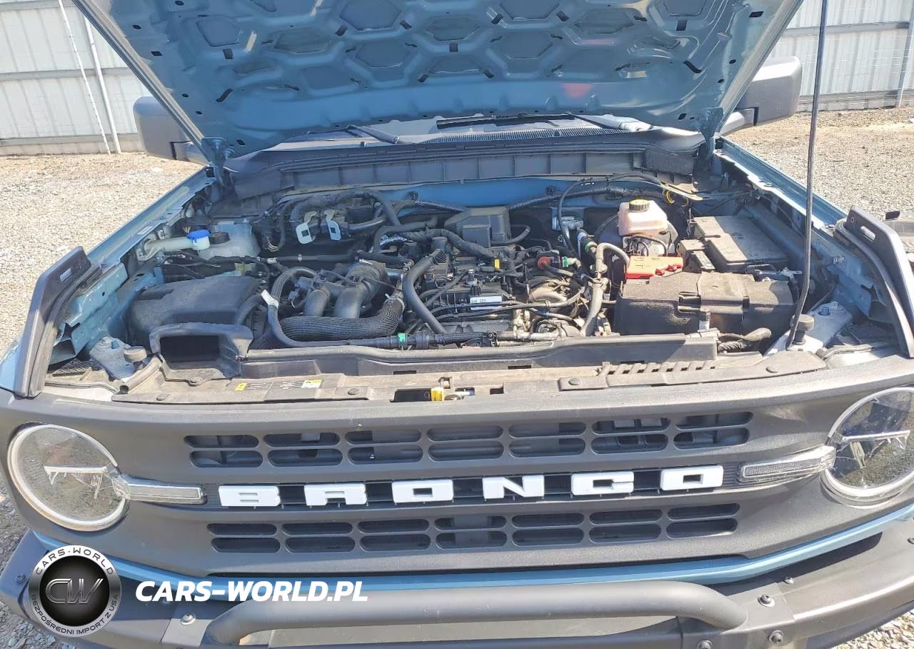 2021 Ford Bronco Base VIN:1FMEE5BH9MLB00427 - 12