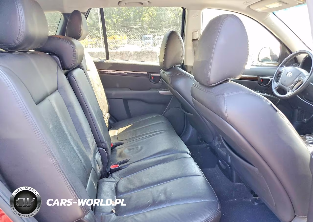 2010 Hyundai Santa Fe Limited VIN:5NMSK3AB3AH385091 - 11