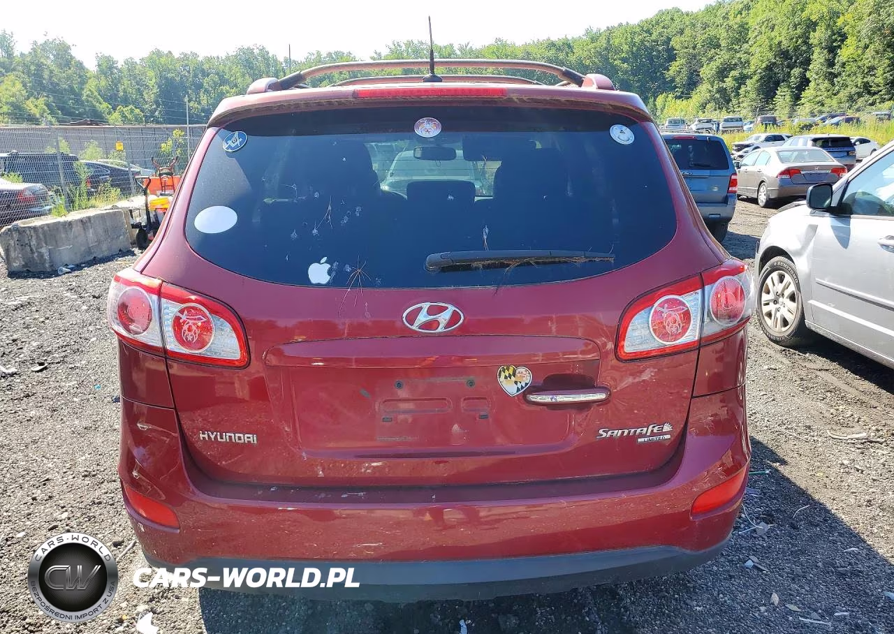2010 Hyundai Santa Fe Limited VIN:5NMSK3AB3AH385091 - 6