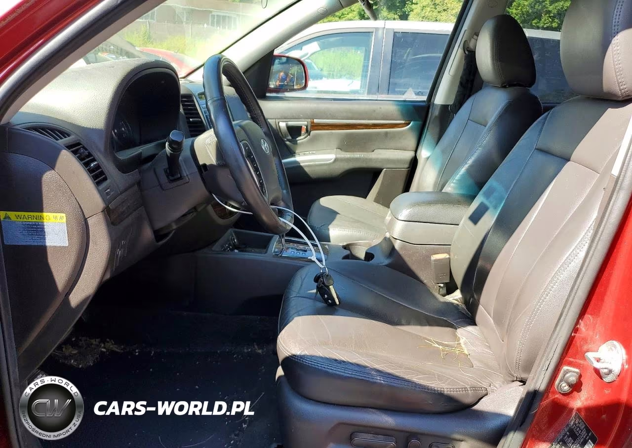 2010 Hyundai Santa Fe Limited VIN:5NMSK3AB3AH385091 - 7