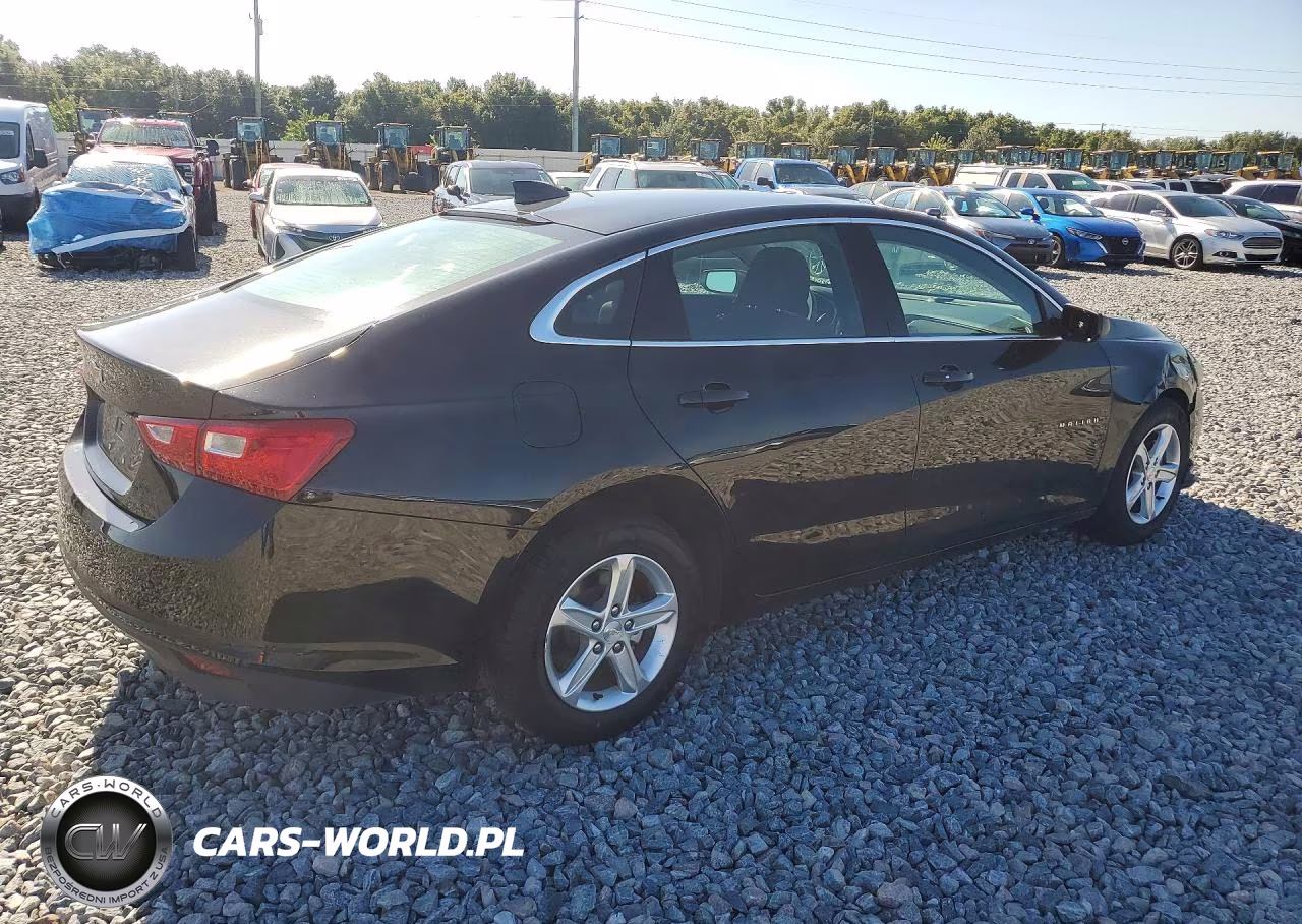 2023 Chevrolet Malibu Ls VIN:1G1ZC5ST3PF176480 - 3