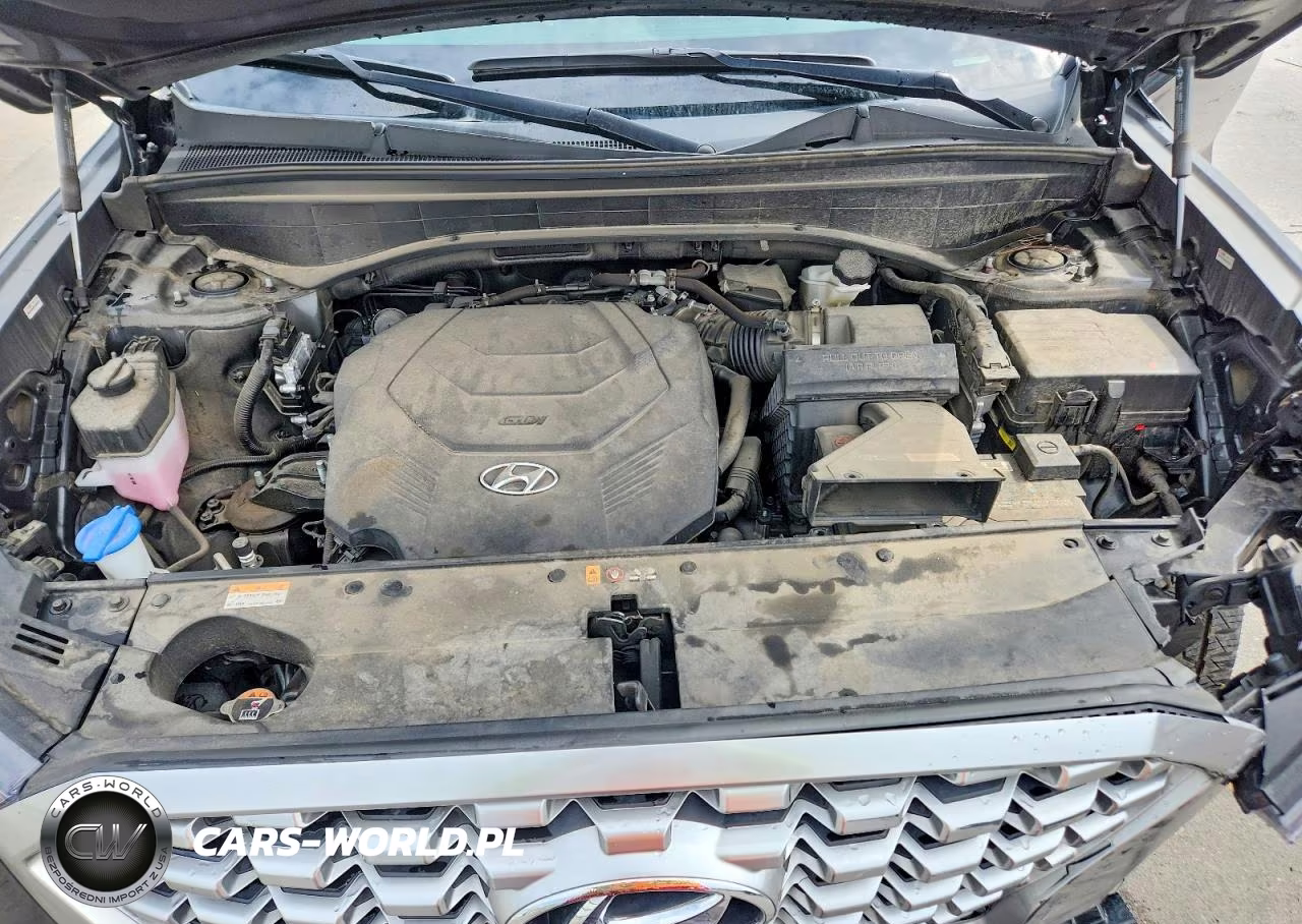 2021 Hyundai Palisade Sel VIN:KM8R3DHE9MU290609 - 12