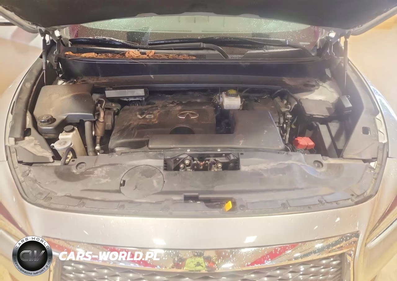 2020 Infiniti Qx60 Pure VIN:5N1DL0MM2LC526117 - 12