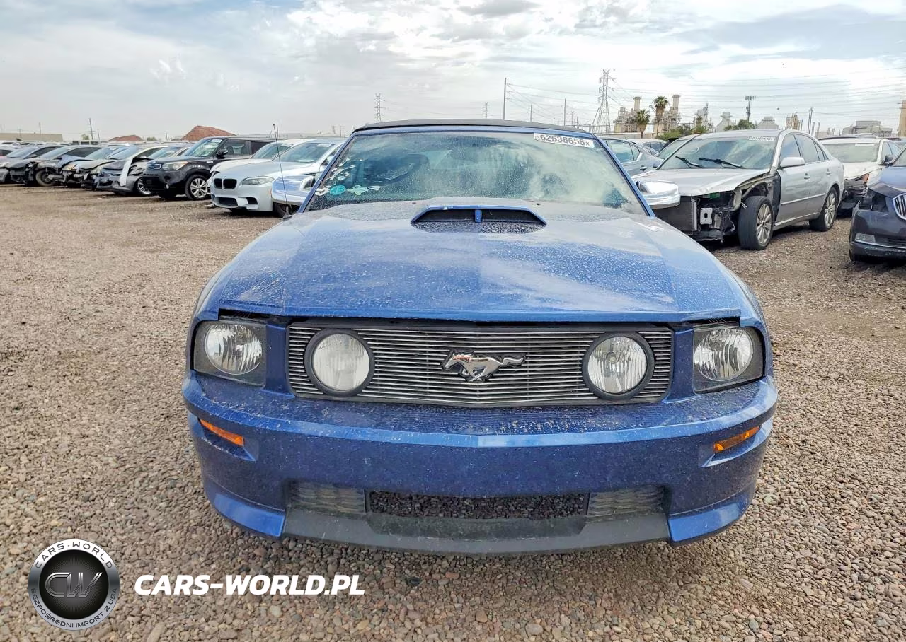 2007 Ford Mustang Gt VIN:1ZVHT85H175364302 - 5