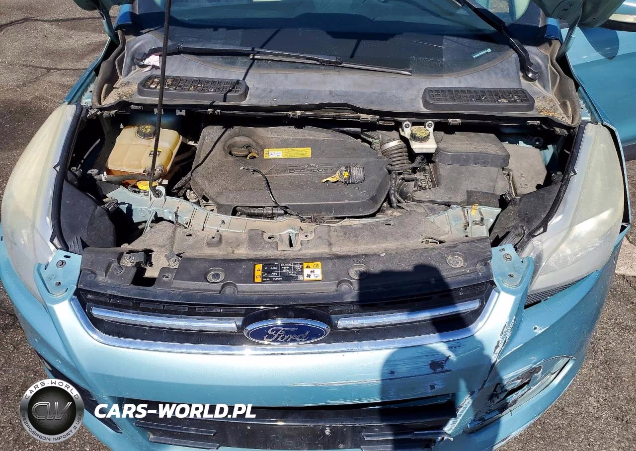 2013 Ford Escape Sel VIN:1FMCU9HX7DUB55243 - 11