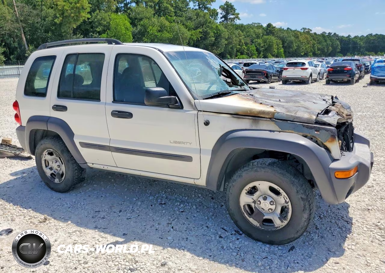 2004 Jeep Liberty Sport VIN:1J4GK48K64W285449 - 4