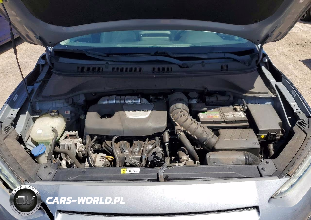 2019 Hyundai Kona Limited VIN:KM8K33A55KU207986 - 12