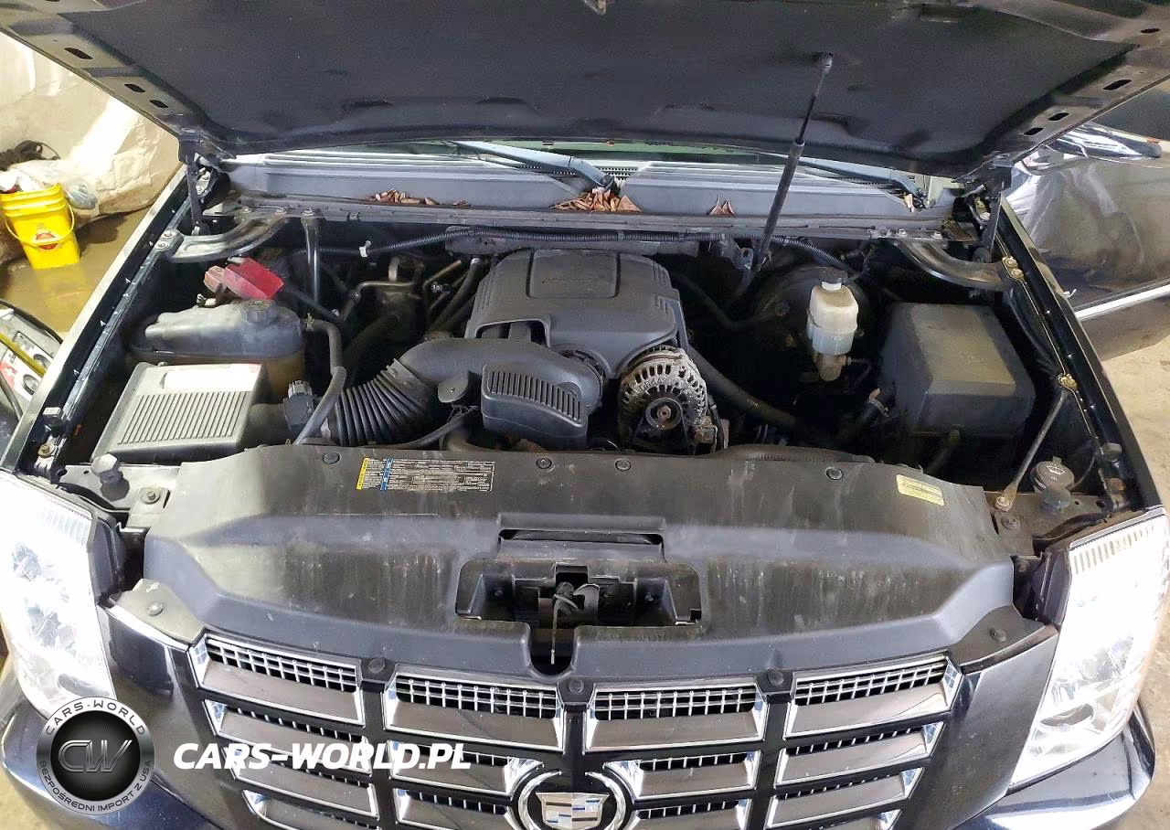 2010 Cadillac Escalade VIN:1GYUKJEF5AR280844 - 12