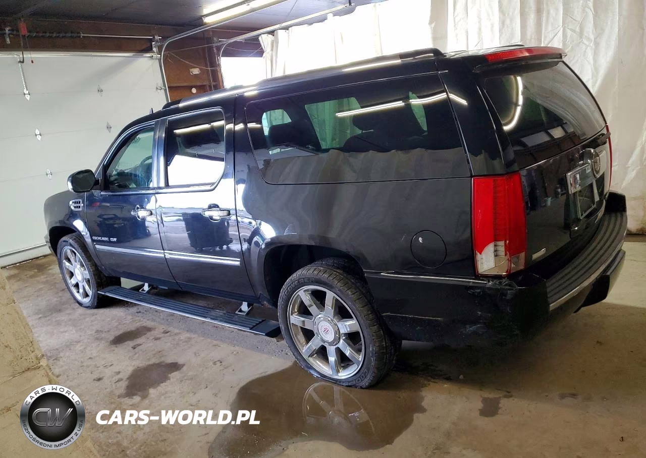 2010 Cadillac Escalade VIN:1GYUKJEF5AR280844 - 2
