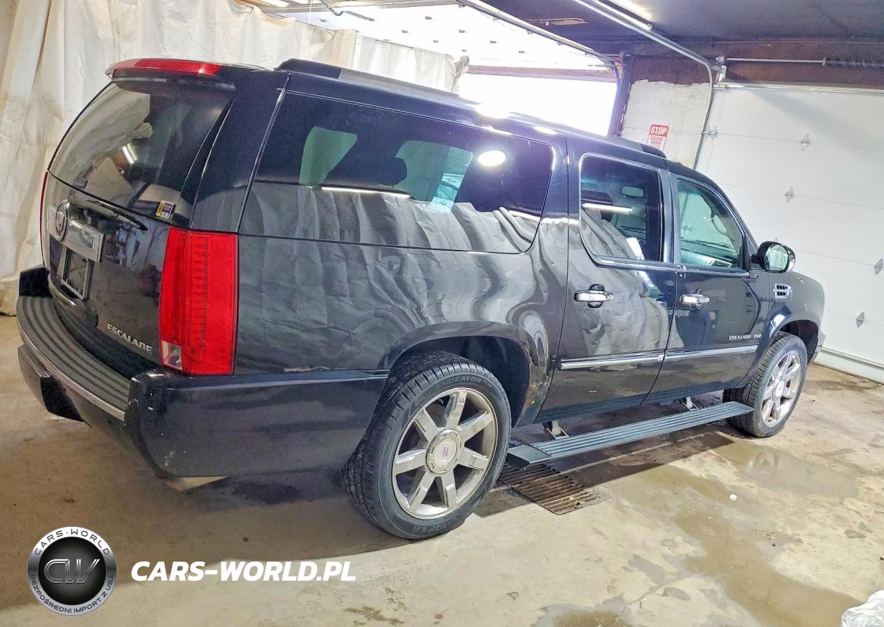 2010 Cadillac Escalade VIN:1GYUKJEF5AR280844 - 3