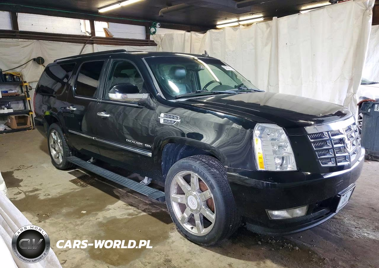 2010 Cadillac Escalade VIN:1GYUKJEF5AR280844 - 4