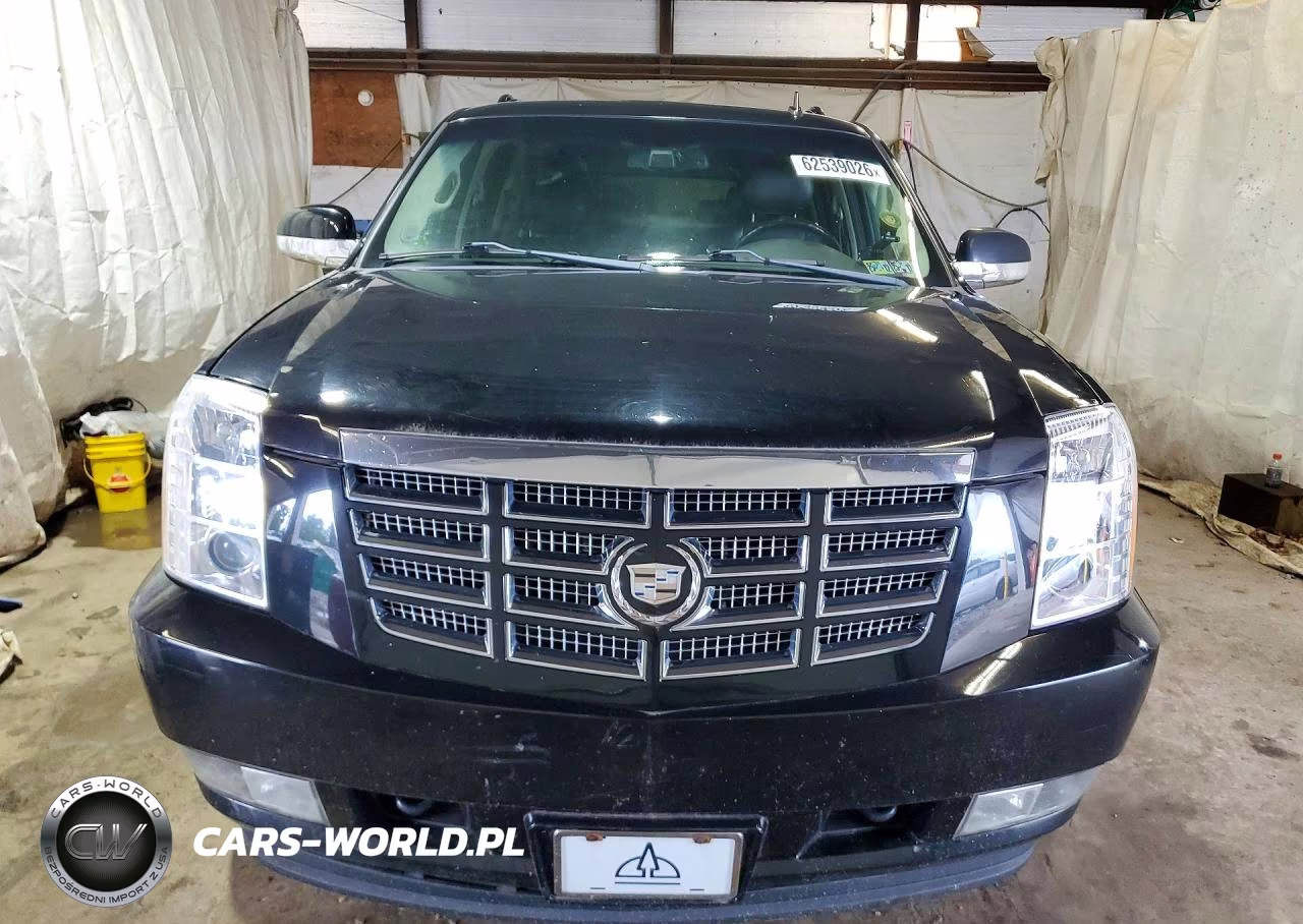 2010 Cadillac Escalade VIN:1GYUKJEF5AR280844 - 5