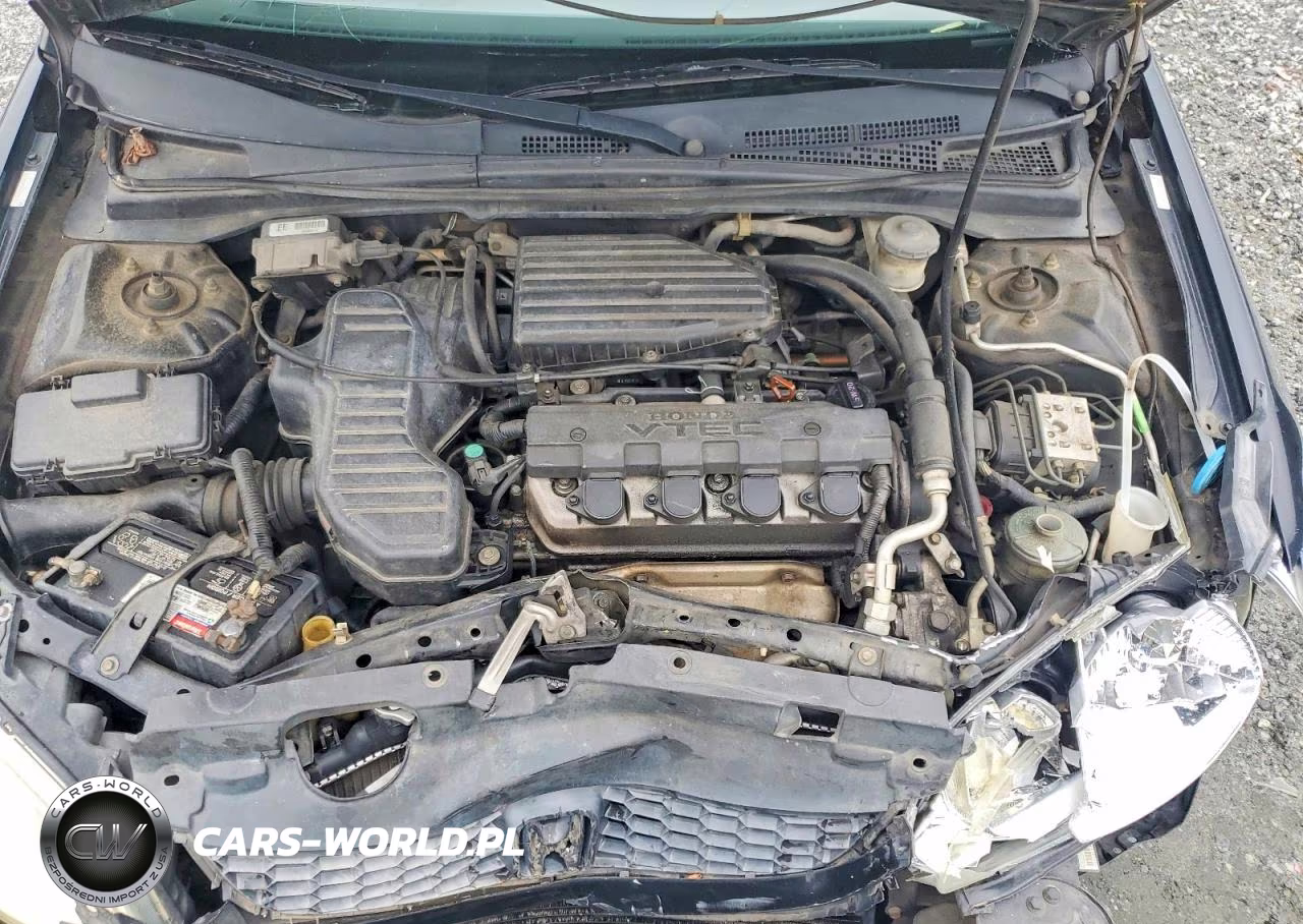 2005 Honda Civic Ex VIN:1HGEM22925L013843 - 11