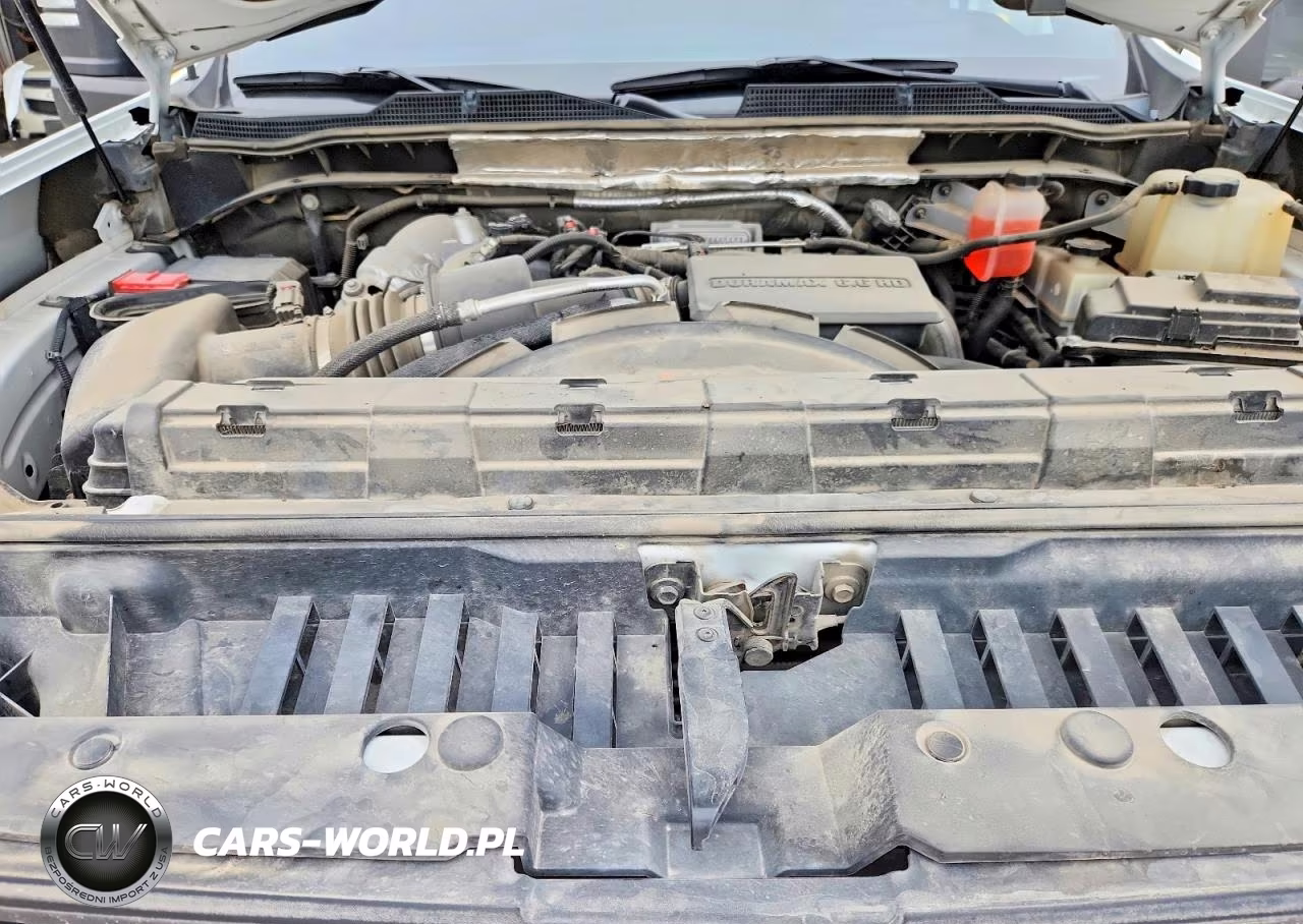 2020 Chevrolet Silverado K2500 Heavy Duty Ltz VIN:1GC4YPEY4LF123061 - 11