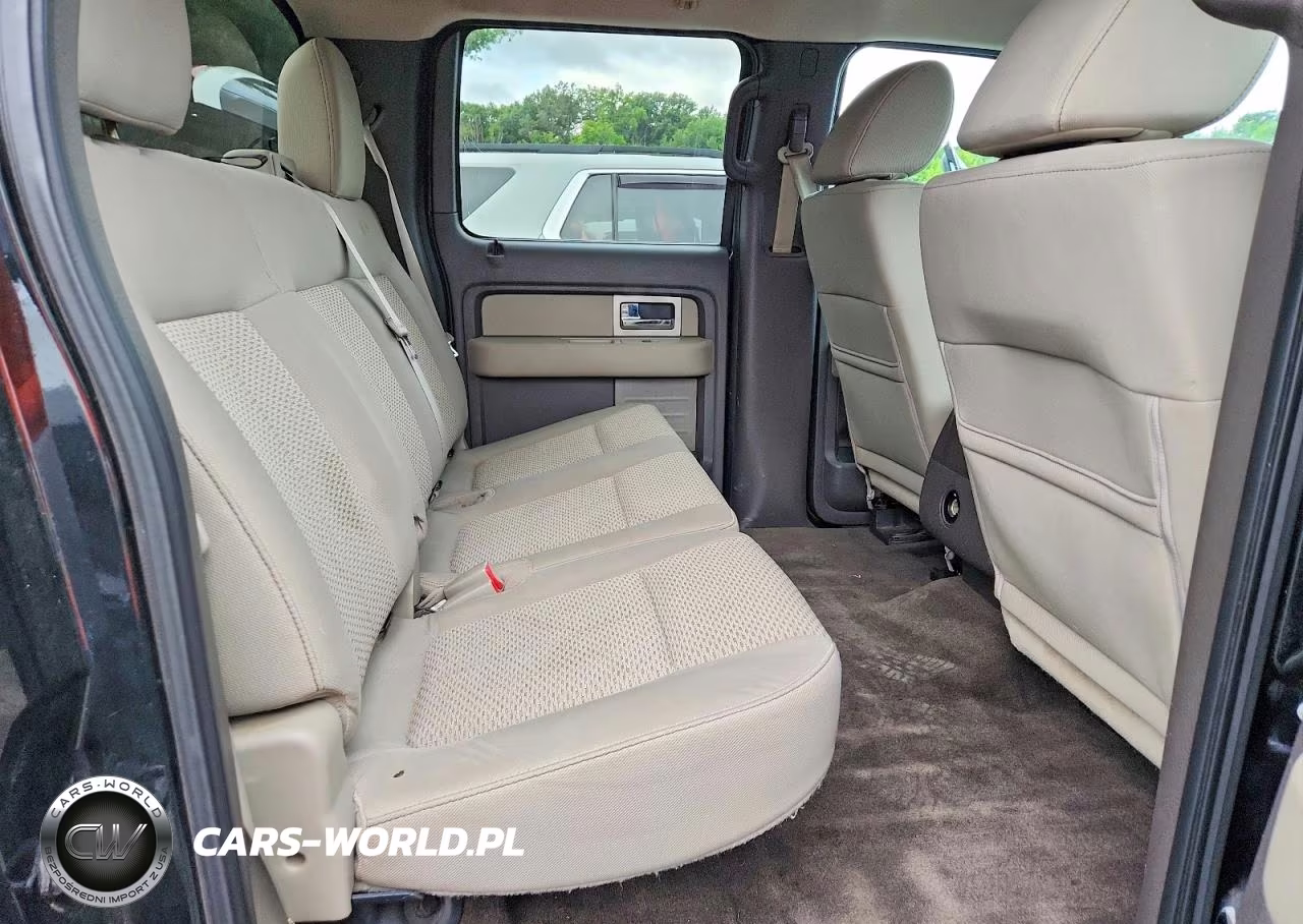 2010 Ford F150 Supercrew VIN:1FTFW1EV3AFB50895 - 10