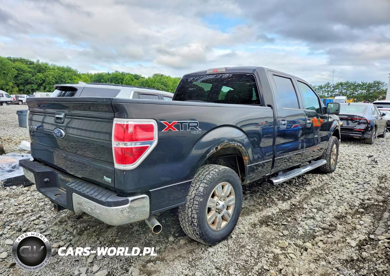 2010 Ford F150 Supercrew VIN:1FTFW1EV3AFB50895 - 3