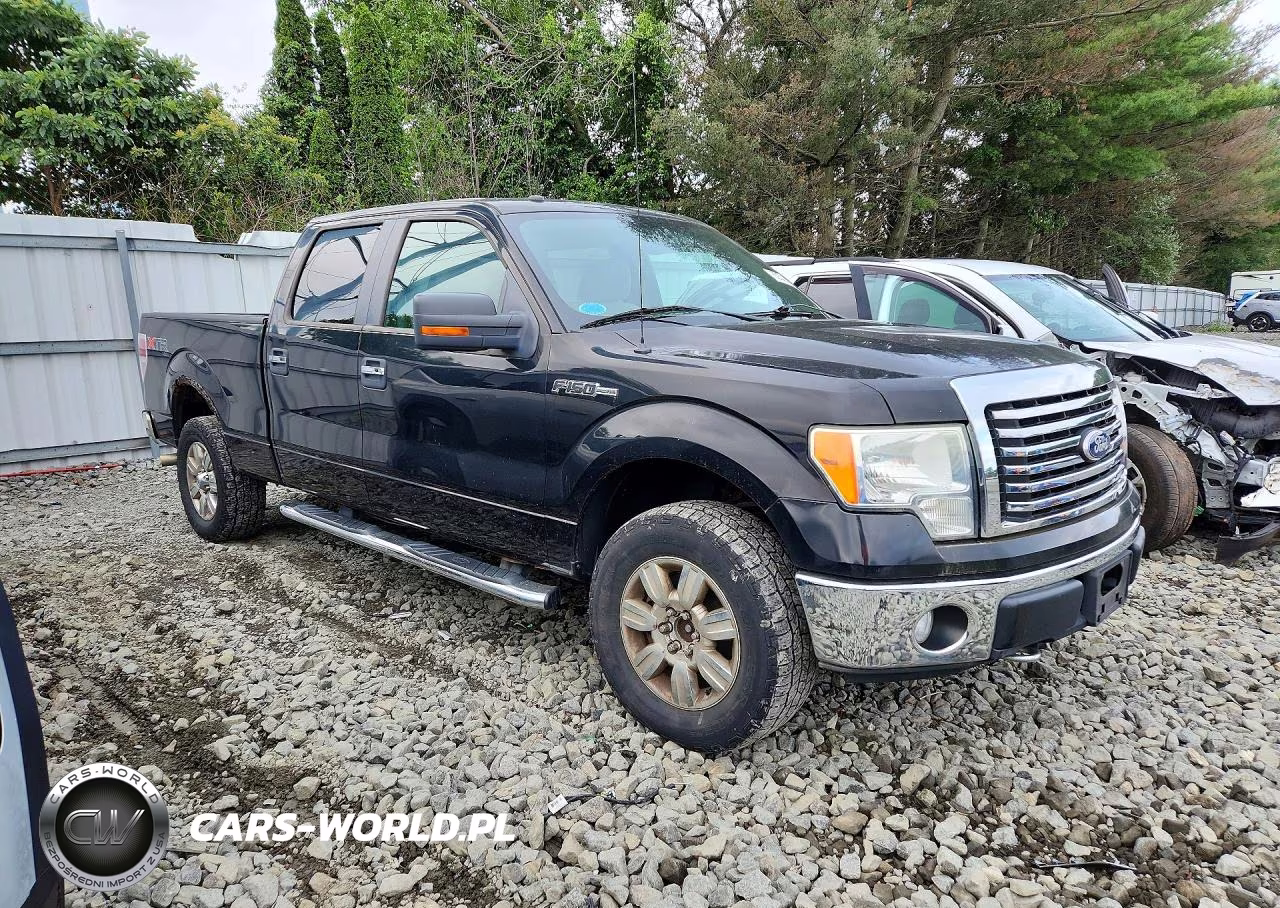 2010 Ford F150 Supercrew VIN:1FTFW1EV3AFB50895 - 4