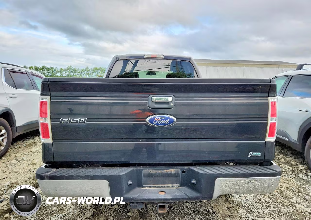 2010 Ford F150 Supercrew VIN:1FTFW1EV3AFB50895 - 6