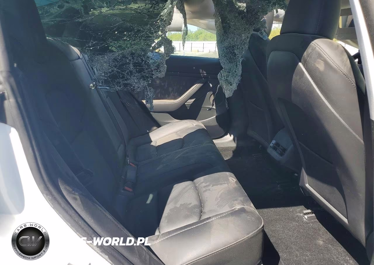 2023 Tesla Model 3 VIN:5YJ3E1EA1PF572194 - 10