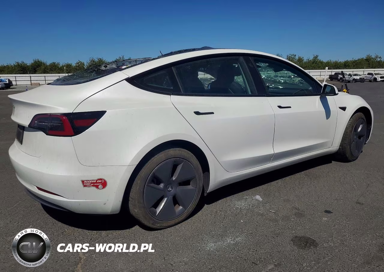 2023 Tesla Model 3 VIN:5YJ3E1EA1PF572194 - 3
