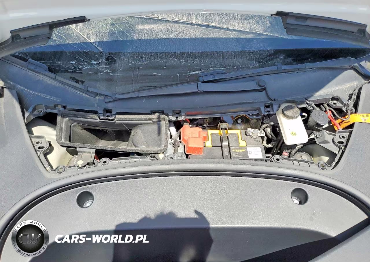 2021 Tesla Model 3 VIN:5YJ3E1EA2MF097005 - 11
