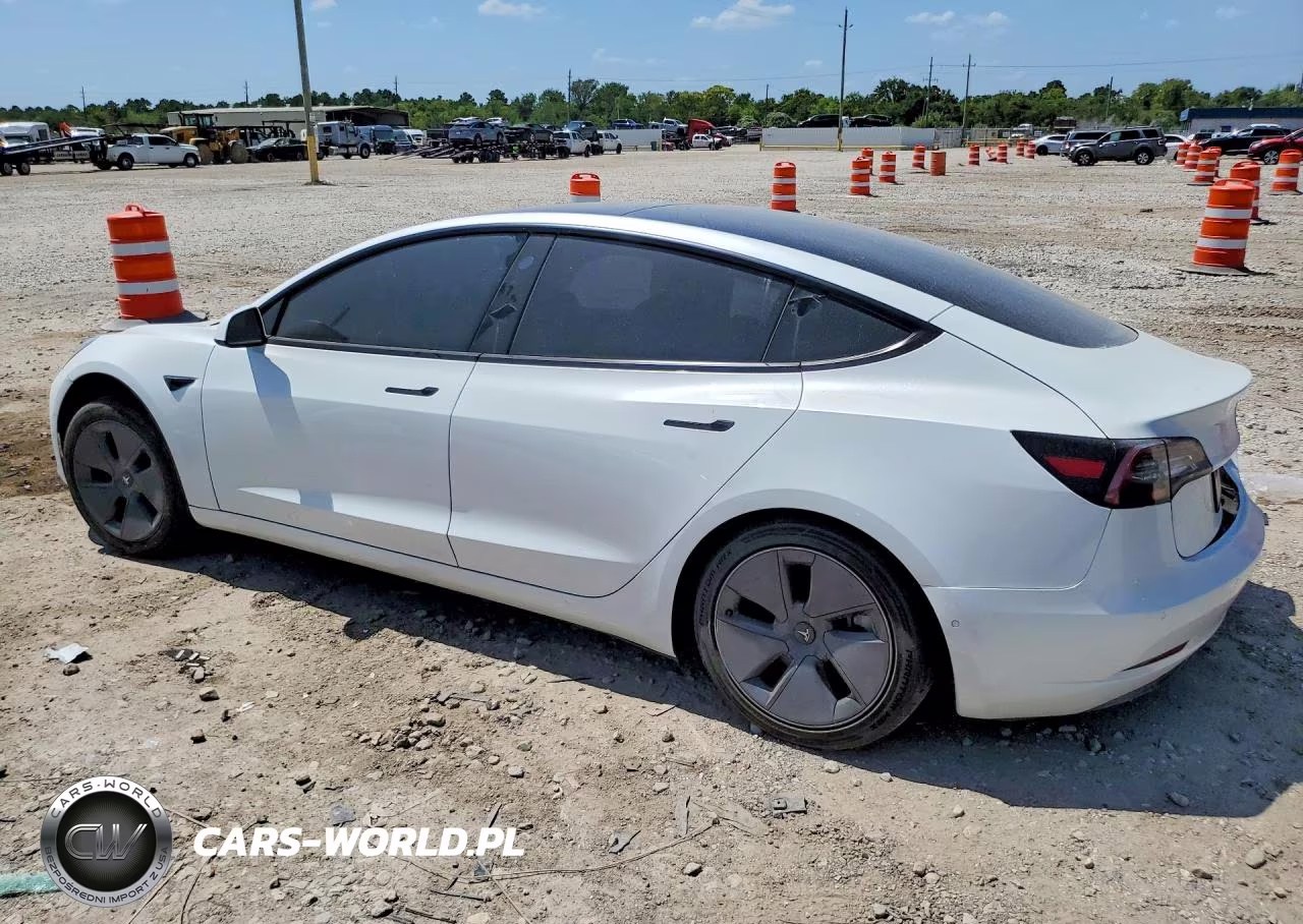 2021 Tesla Model 3 VIN:5YJ3E1EA2MF097005 - 2