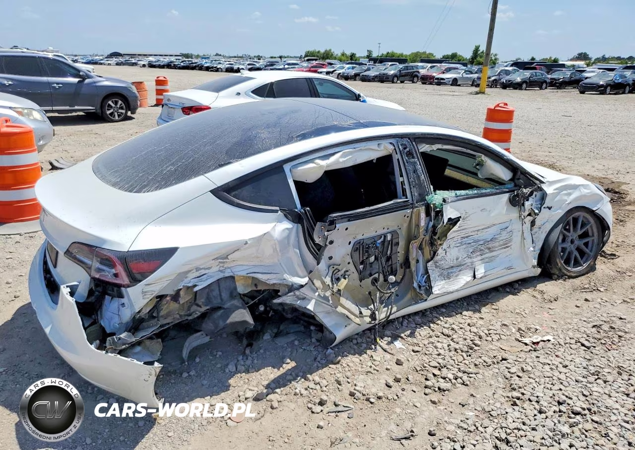 2021 Tesla Model 3 VIN:5YJ3E1EA2MF097005 - 3