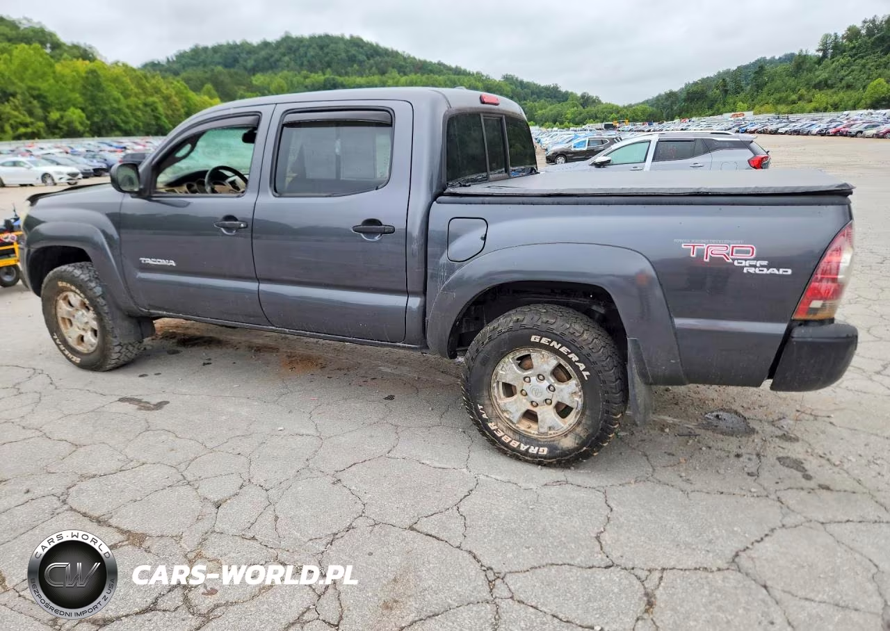 2009 Toyota Tacoma V6 VIN:5TELU42N89Z621288 - 2