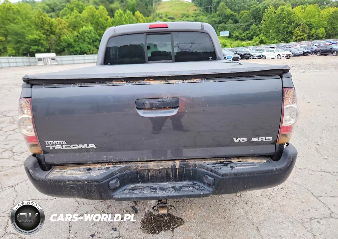 2009 Toyota Tacoma V6 VIN:5TELU42N89Z621288 - 6