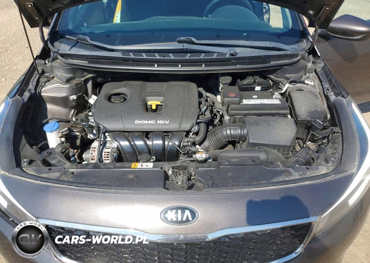 2017 Kia Forte Lx VIN:3KPFK4A7XHE150319 - 11