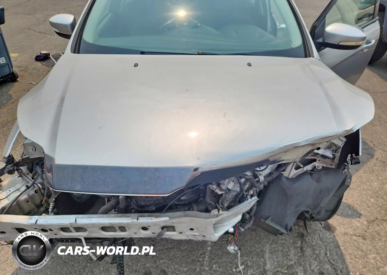 2014 Ford Focus Se VIN:1FADP3F24EL301664 - 11