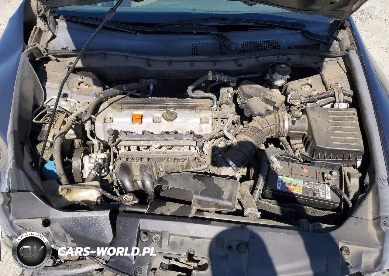 2010 Honda Accord Lxp VIN:1HGCP2F46AA016876 - 11