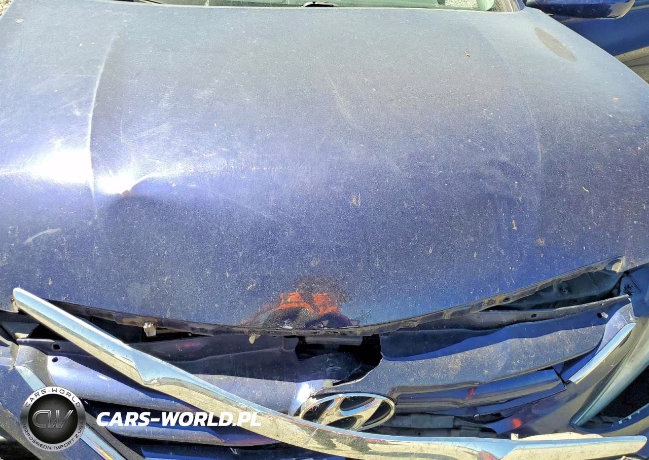 2011 Hyundai Sonata Gls VIN:5NPEB4AC1BH248036 - 11