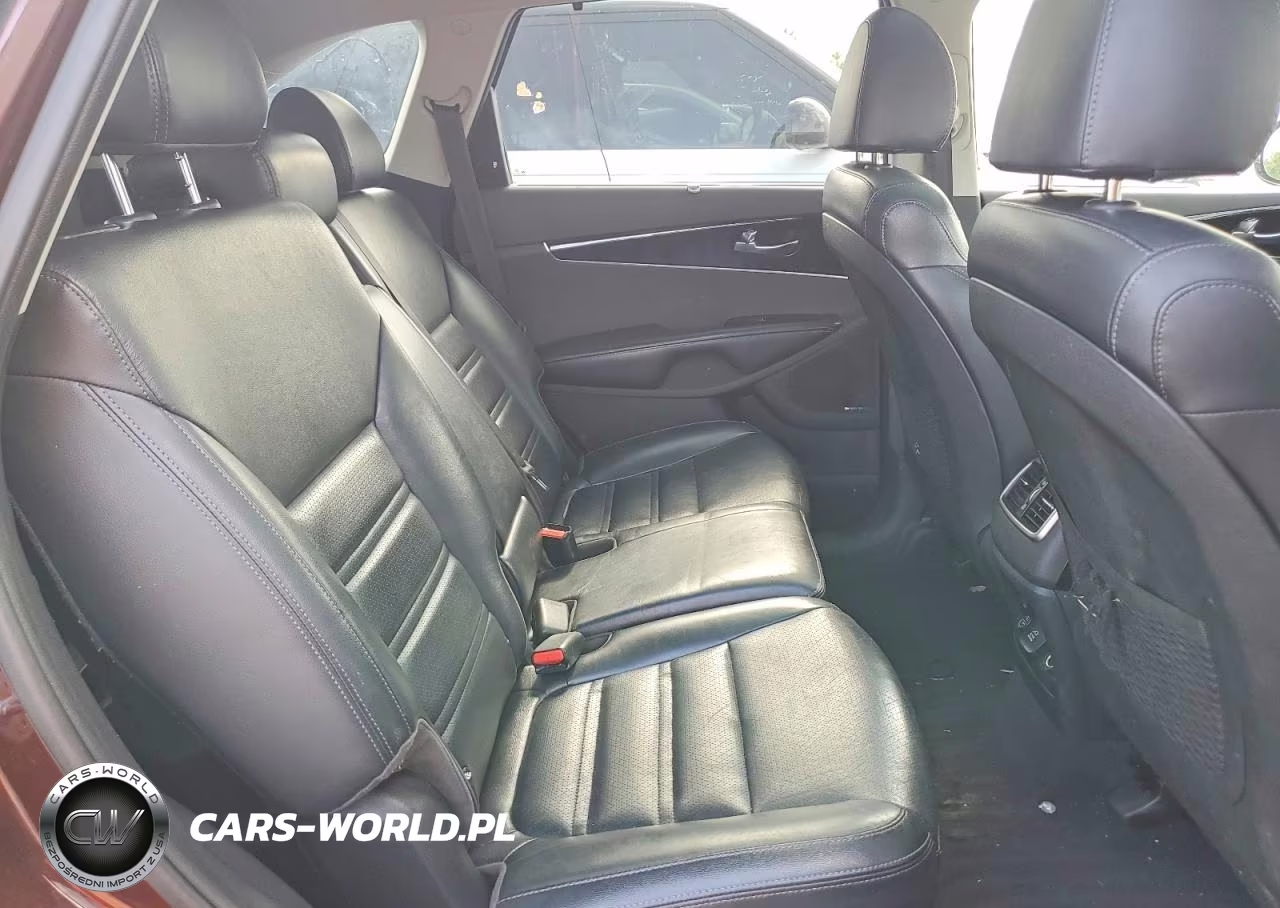2019 Kia Sorento Ex V6 VIN:5XYPHDA55KG464343 - 11