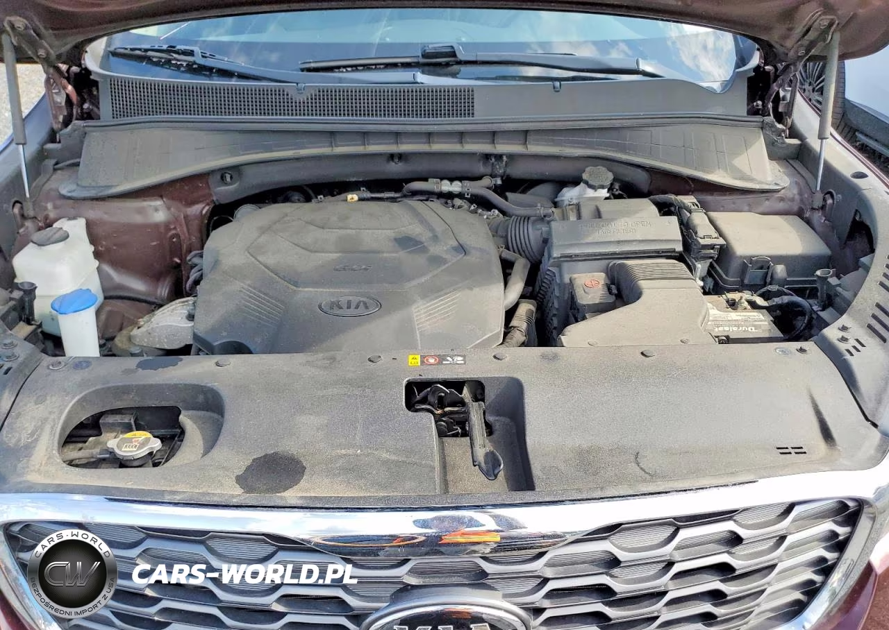 2019 Kia Sorento Ex V6 VIN:5XYPHDA55KG464343 - 12