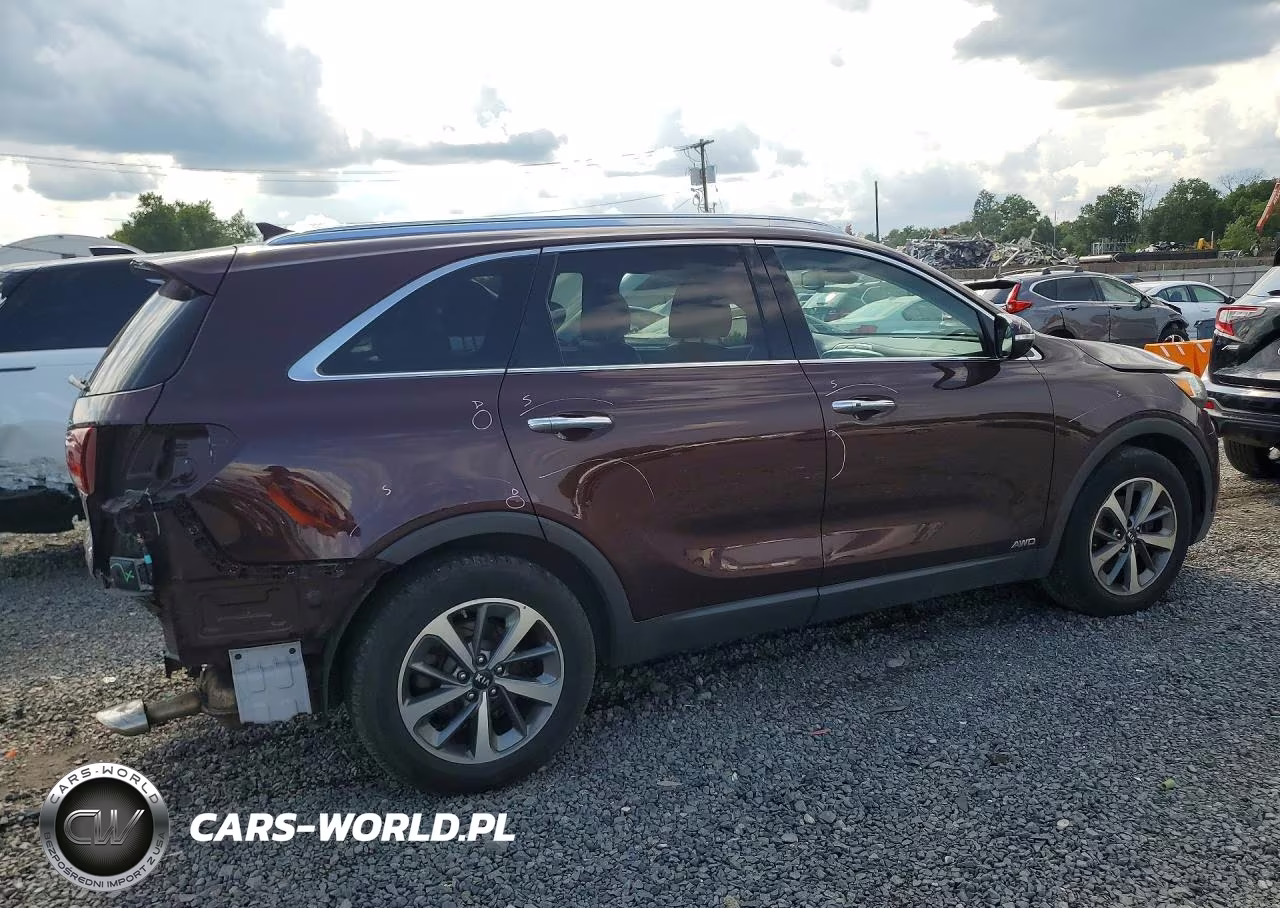 2019 Kia Sorento Ex V6 VIN:5XYPHDA55KG464343 - 3