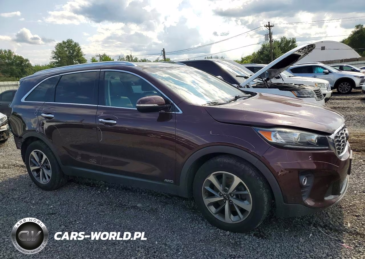 2019 Kia Sorento Ex V6 VIN:5XYPHDA55KG464343 - 4