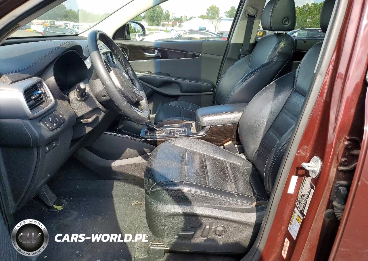 2019 Kia Sorento Ex V6 VIN:5XYPHDA55KG464343 - 7