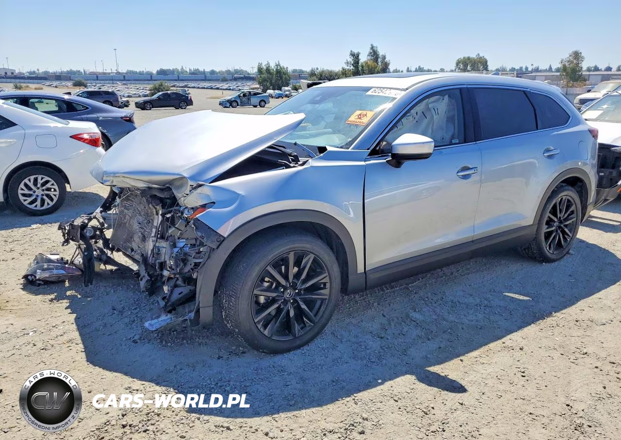 2023 Mazda Cx-9 Touring Plus VIN:JM3TCBAYXP0659256 - 1