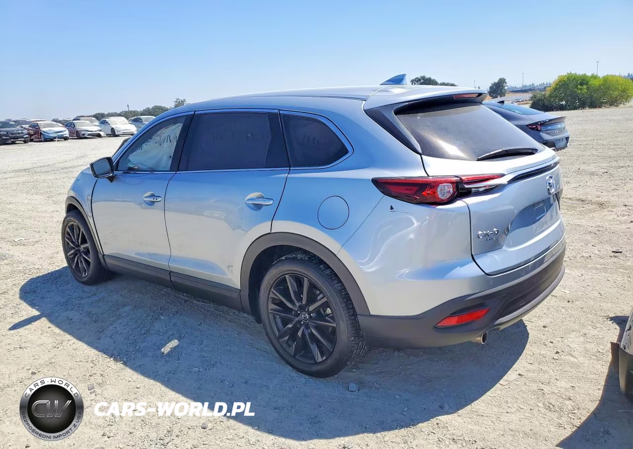 2023 Mazda Cx-9 Touring Plus VIN:JM3TCBAYXP0659256 - 2