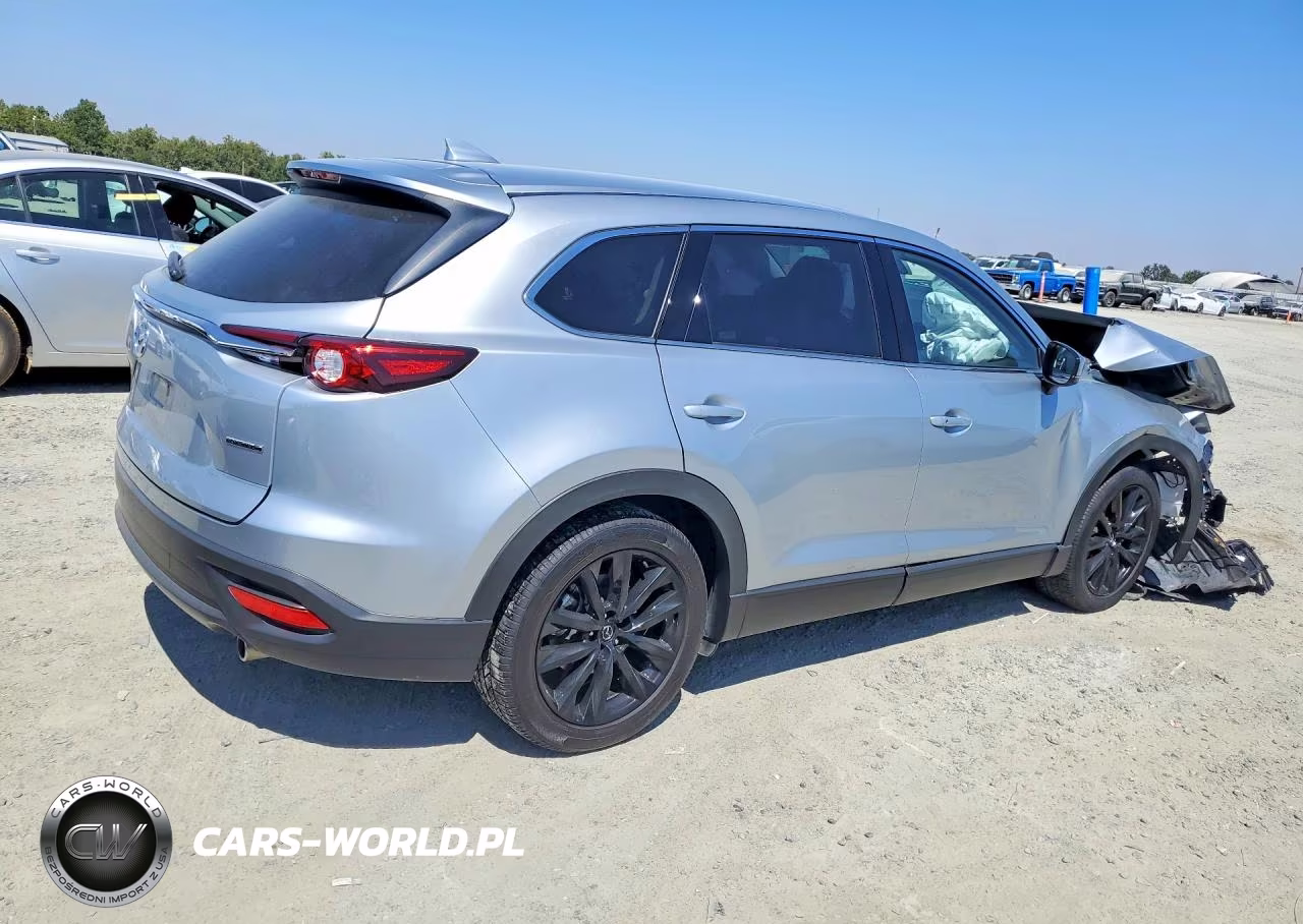 2023 Mazda Cx-9 Touring Plus VIN:JM3TCBAYXP0659256 - 3