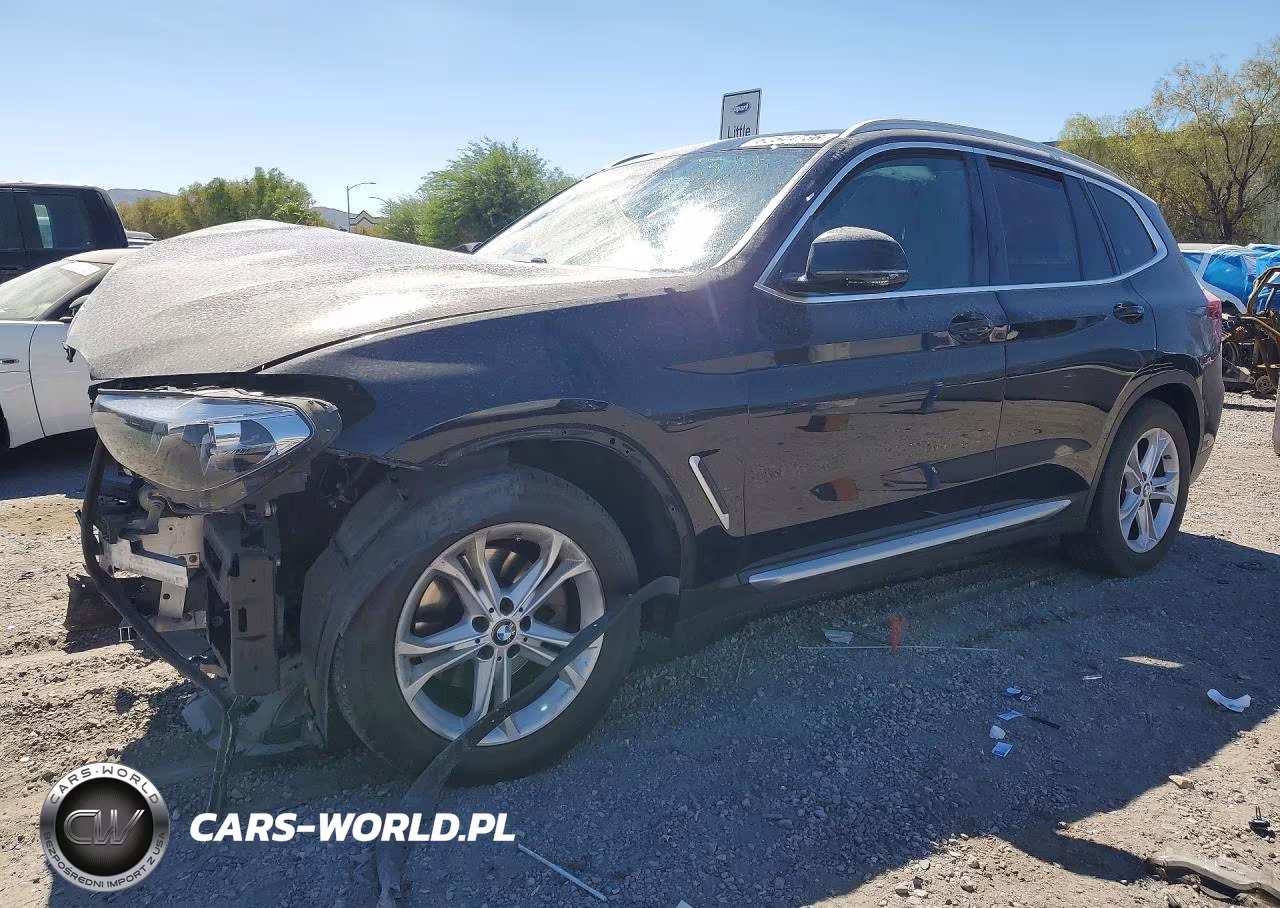 2019 BMW X3 Sdrive30I VIN:5UXTR7C50KLR48790 - 1
