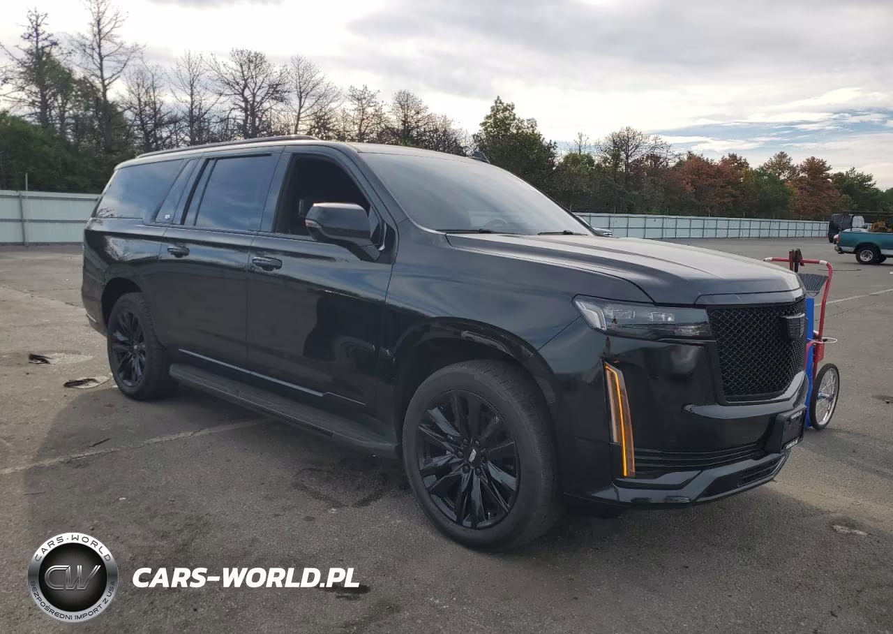 2021 Cadillac Escalade Esv Sport Platinum VIN:1GYS4RKL6MR487239 - 4