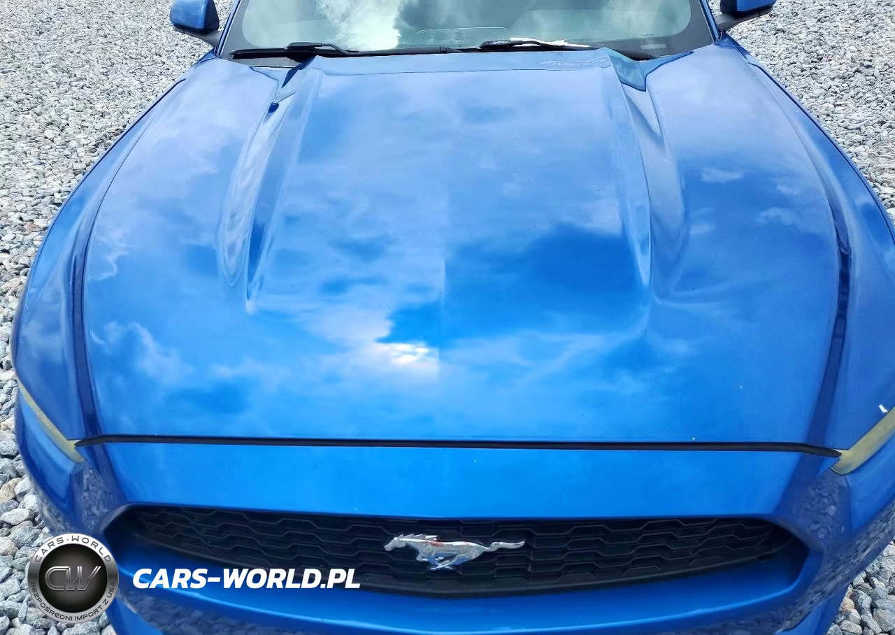 2017 Ford Mustang VIN:1FA6P8TH2H5249362 - 11