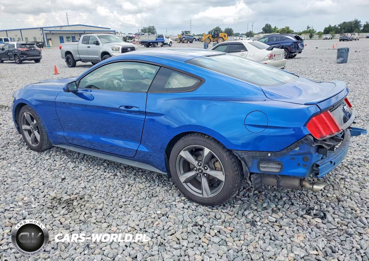 2017 Ford Mustang VIN:1FA6P8TH2H5249362 - 2