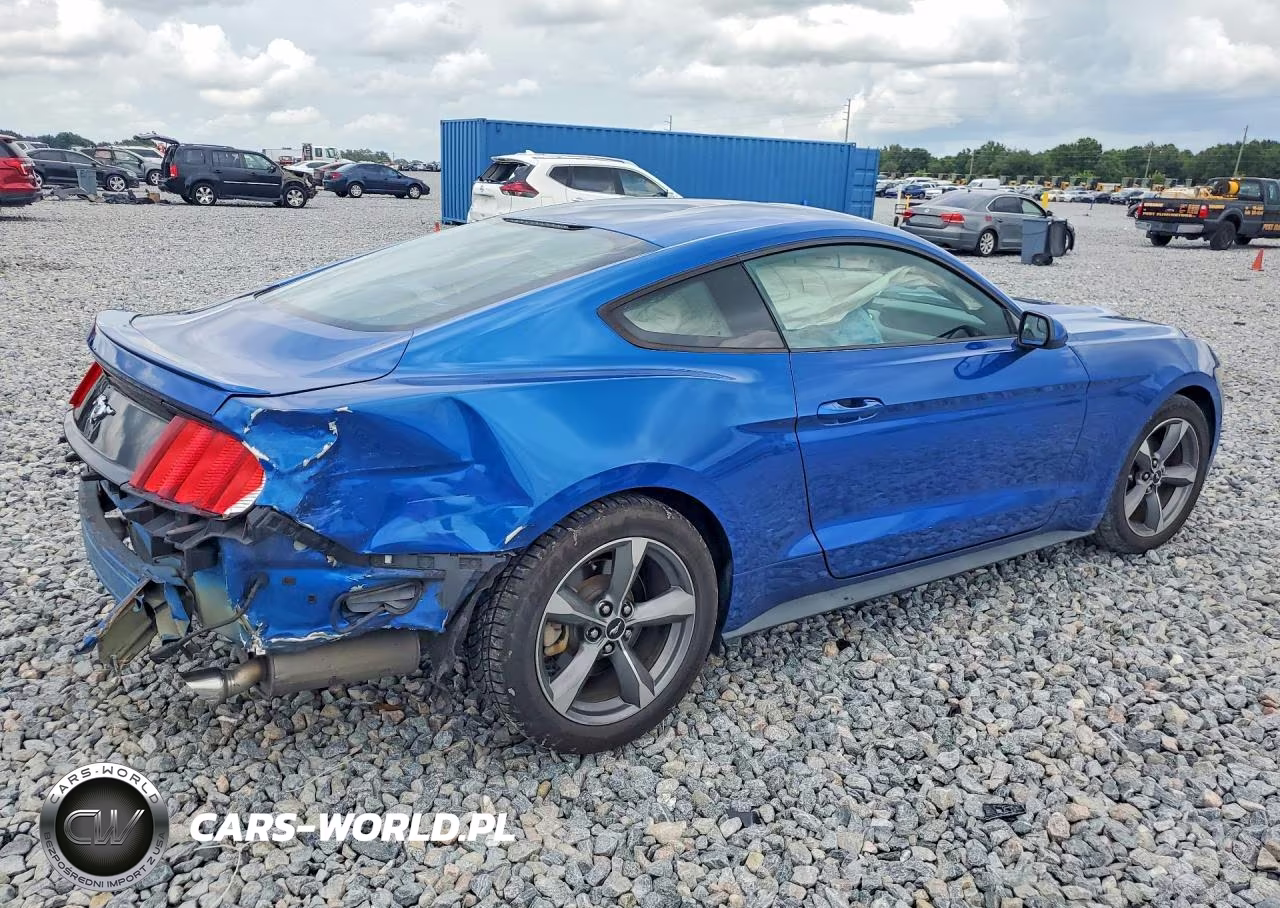 2017 Ford Mustang VIN:1FA6P8TH2H5249362 - 3