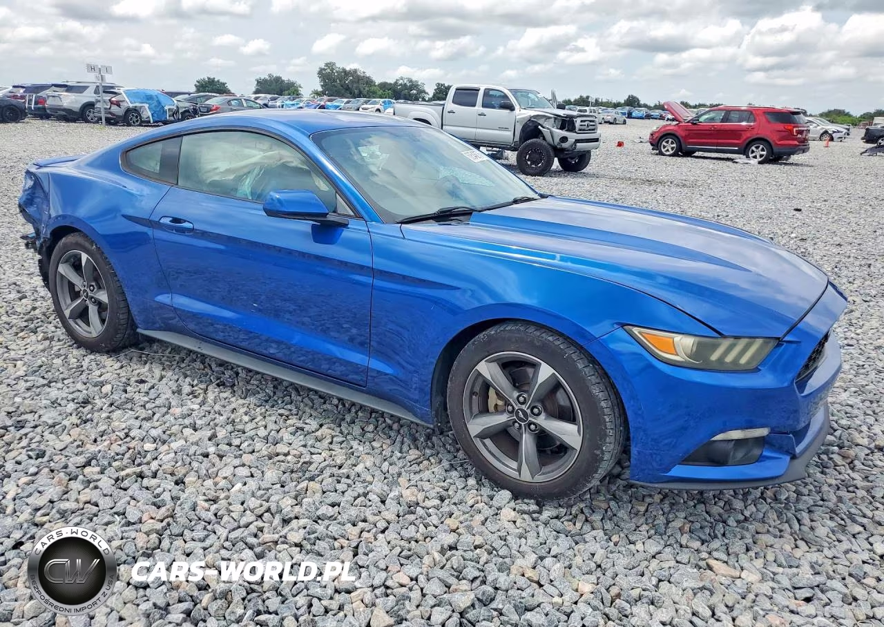 2017 Ford Mustang VIN:1FA6P8TH2H5249362 - 4