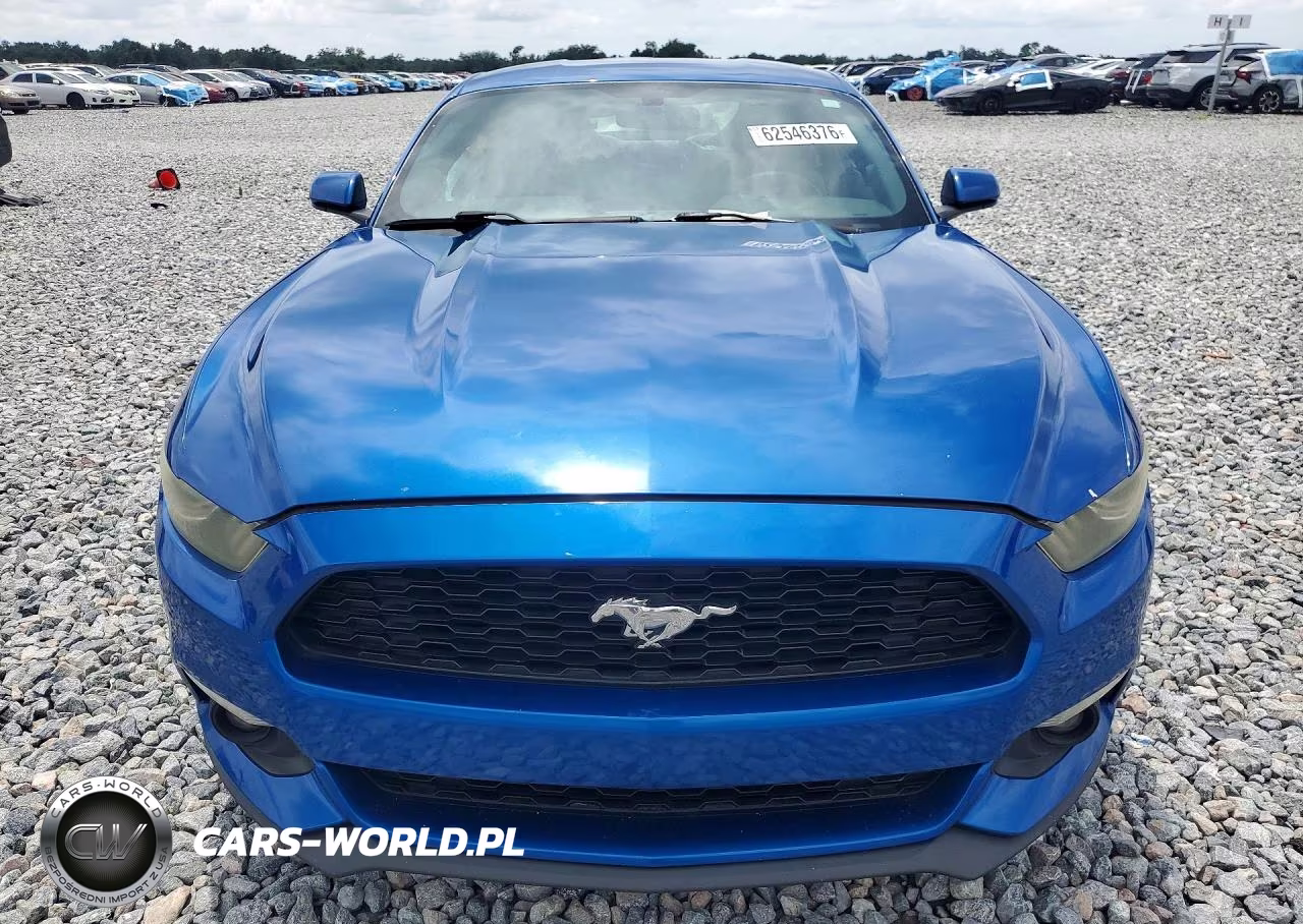2017 Ford Mustang VIN:1FA6P8TH2H5249362 - 5