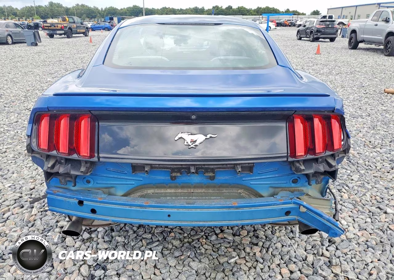 2017 Ford Mustang VIN:1FA6P8TH2H5249362 - 6
